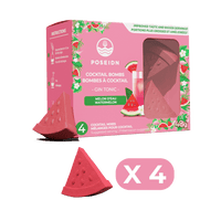 Gin Tonic - Watermelon & Elderflower