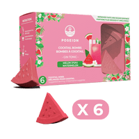 Gin Tonic - Watermelon & Elderflower