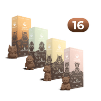 Hot Chocolate Discovery Bundle