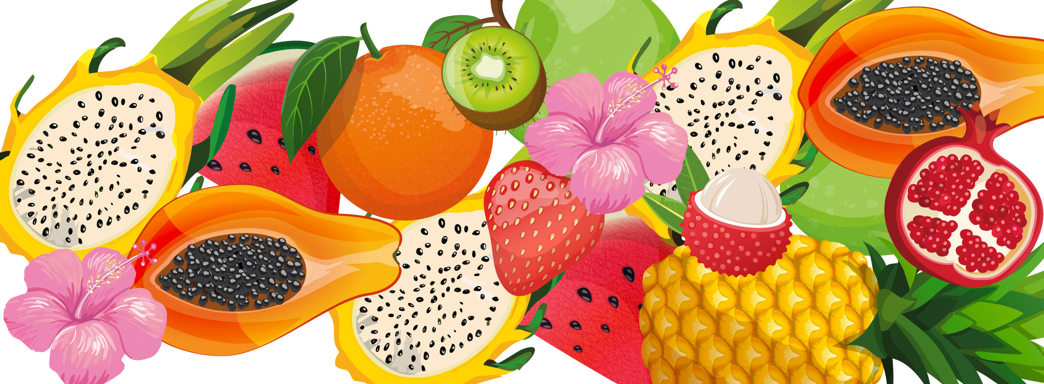 Cocktail Variety Pack